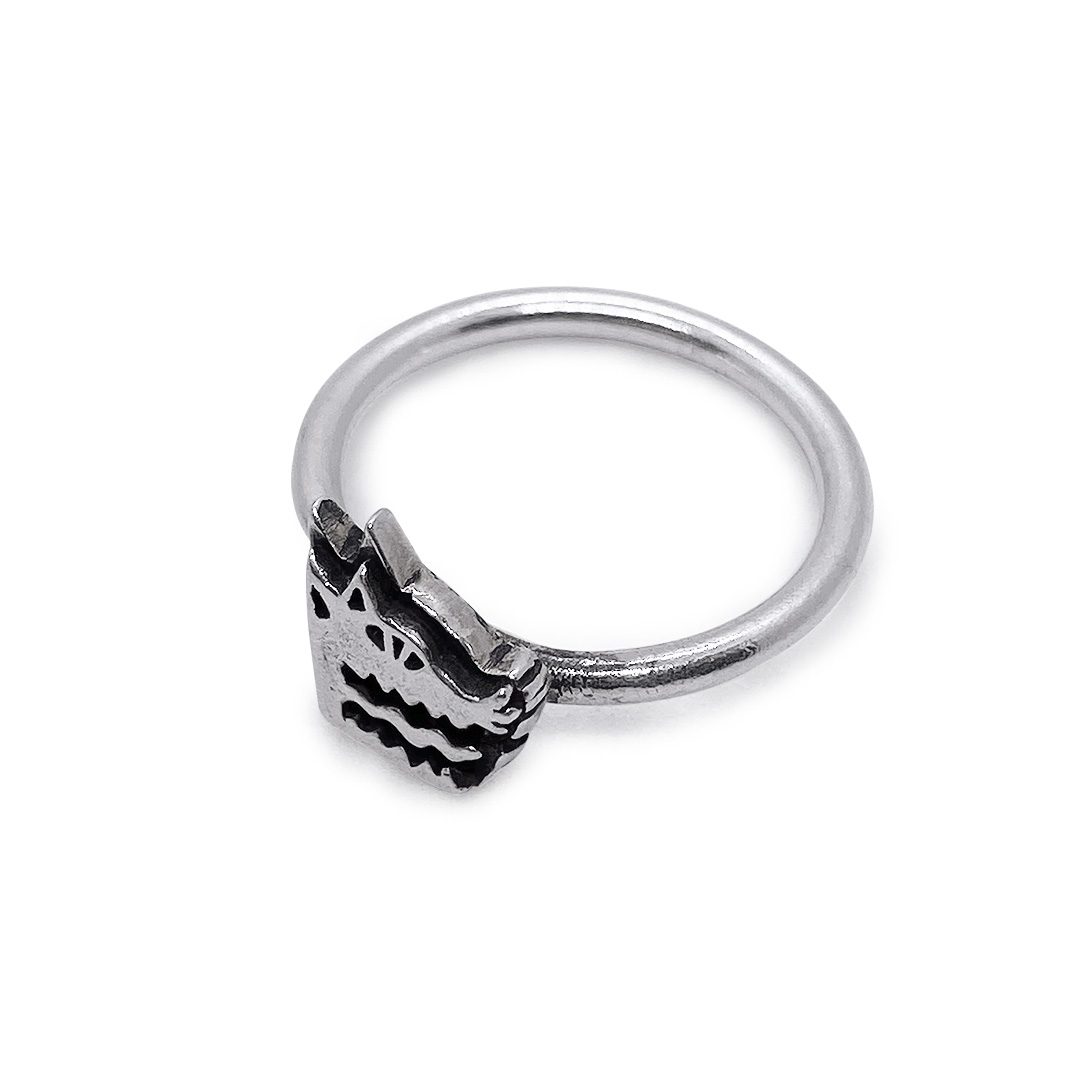 ANILLO LOGO PLATA
