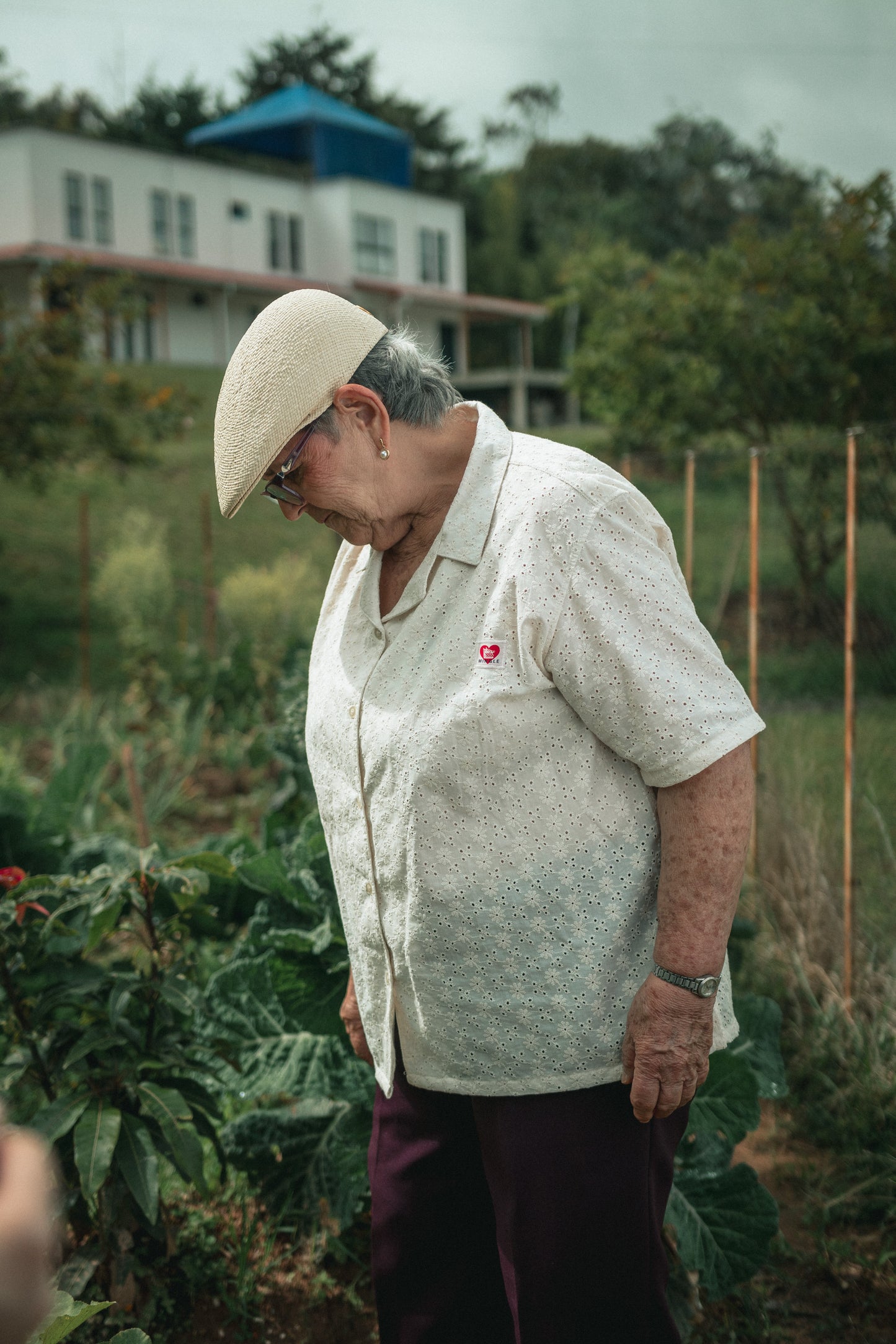 CAMISA MARFIL OJALILLO
